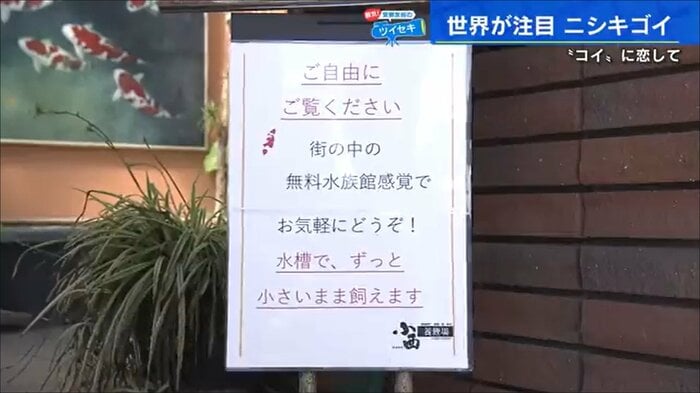 小西養鯉場 火・金曜休み