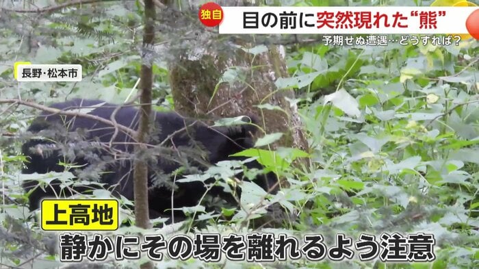 本来は静かに立ち去るのがベター(野鳥いずみ)(FNN投稿サイト「ビデオPost」)