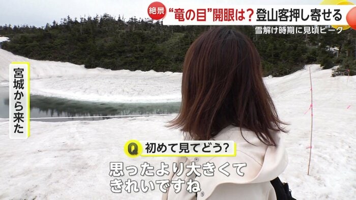 宮城から来た親子