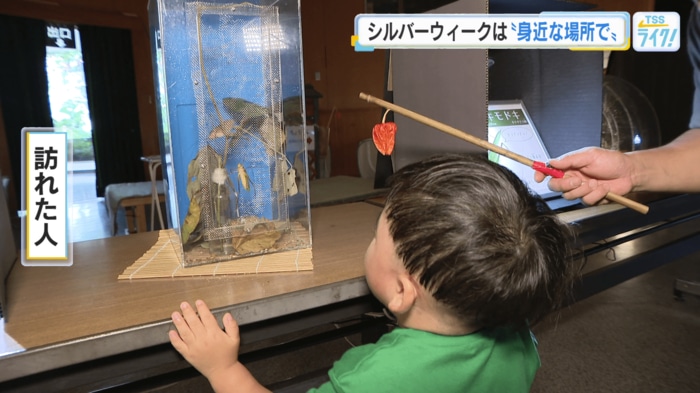 こんちゅう館（広島市森林公園）