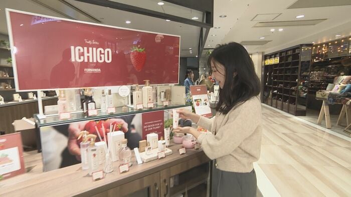 フレグランスショップ『フェルナンダ アミュエスト博多店』（福岡市）