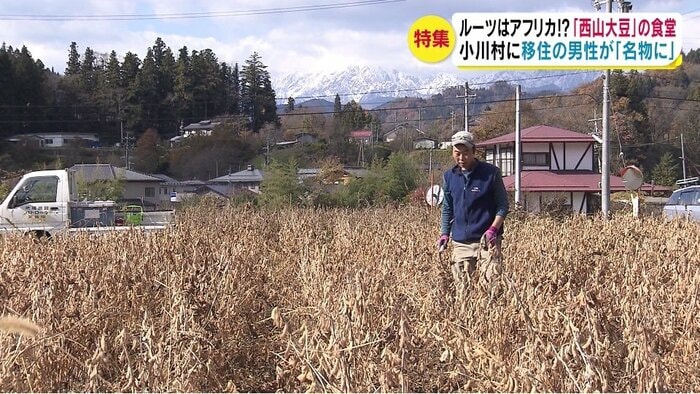 長野県小川村の大豆畑