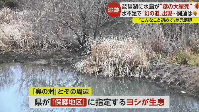 周辺への悪影響を心配
