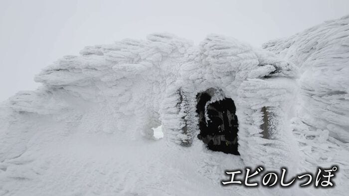 空中の水分が風の方向に凍っている