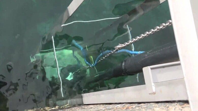 海水を真水に…水不足が深刻な離島に「浄水装置」を設置 雨が降らず貯水池の貯水率が24％に低下 震災でも活用実績｜FNNプライムオンライン