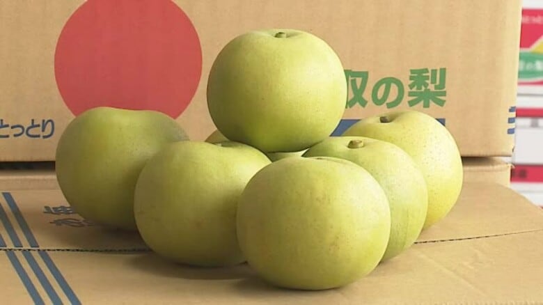 鳥取県産「二十世紀梨」大阪市場の初競りで過去最高値５０万円／１０キロで取引｜FNNプライムオンライン