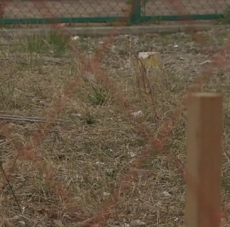 大阪・道頓堀の地面師事件　共謀疑いの男3人が不起訴に　闇バイト応募と供述し一部は容疑認めるも…大阪地検「証拠関係に照らし」処分見送り｜FNNプライムオンライン