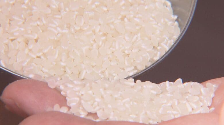 過去20年で最も高く…JAが愛知のコメ農家に支払う概算金 コシヒカリ1等米60kgあたり2万8500円を提示｜FNNプライムオンライン