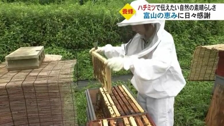 次の命のために生まれる蜂…養蜂家がハチミツを通して伝える「大自然の素晴らしさや命の営み」【富山発】｜FNNプライムオンライン