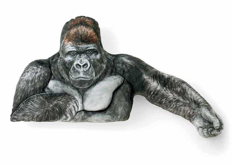 イケメンゴリラ シャバーニの腕枕