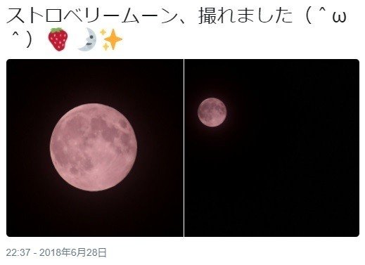ツイッターより ※埼玉県内で撮影