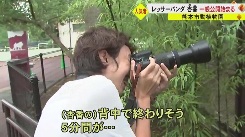 杏香のベストショットを狙う来園客