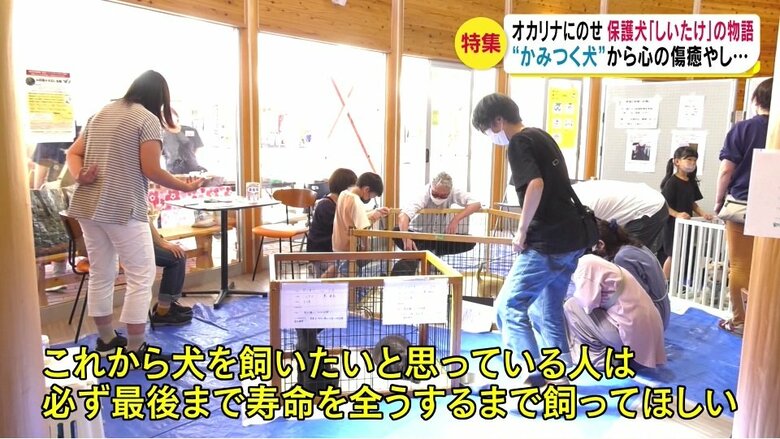 話・ドッグリライフ群馬・新井礼子代表（画像・譲渡会）