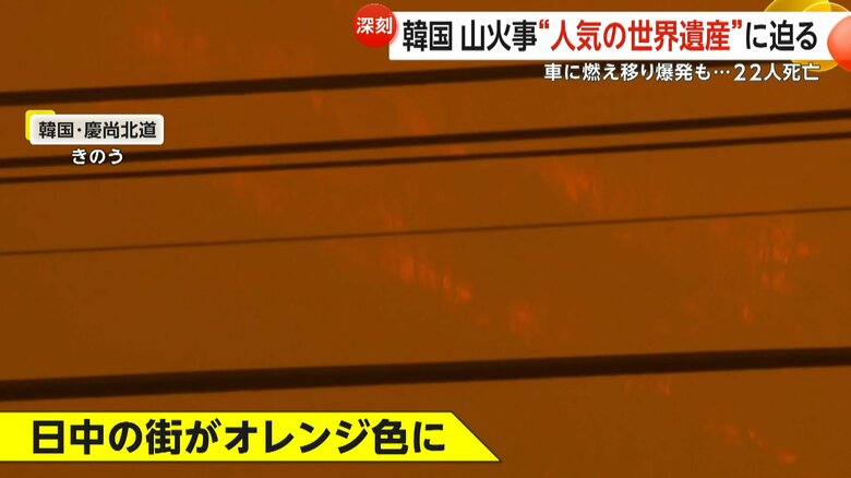 街がオレンジ色に染まる韓国・慶尚北道