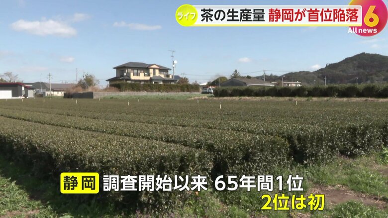 1959年産の調査開始以来、静岡が2位になるのは初めて