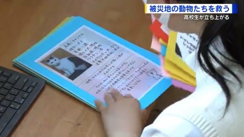 エントリーした犬や猫の特徴をまとめたプロフィールも作成