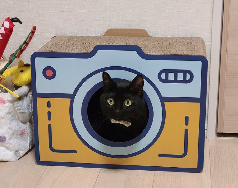 カメラの中から