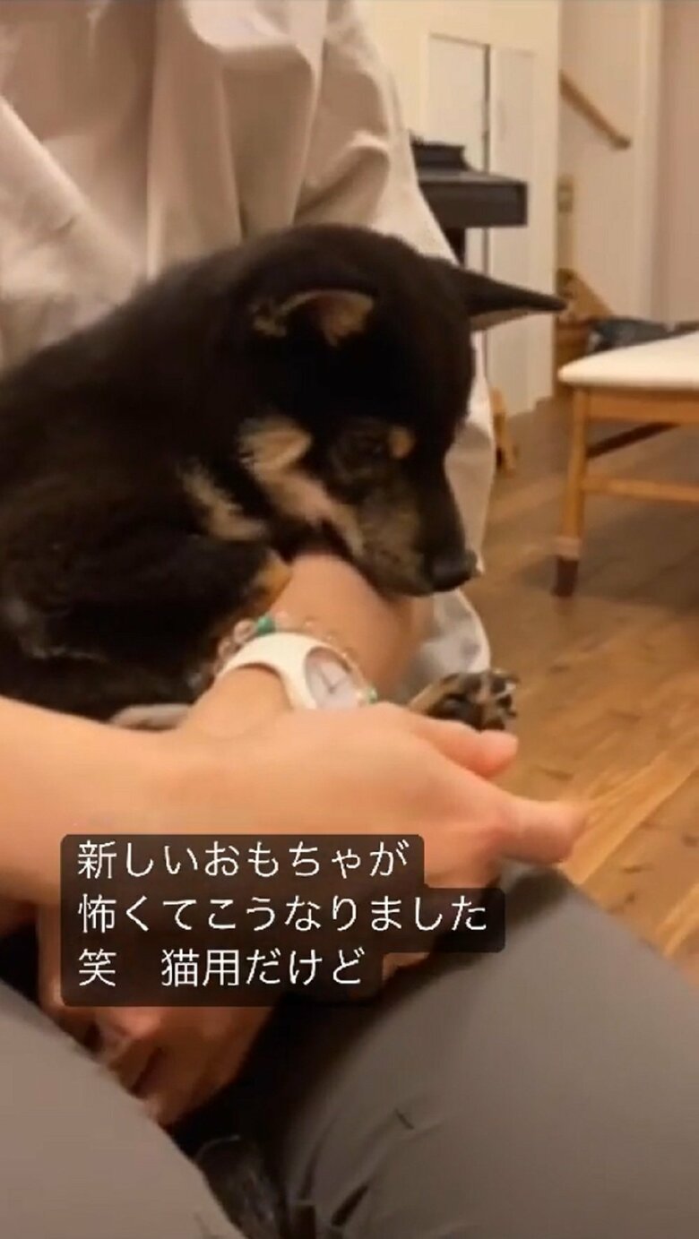 興味はあるのだけれども…