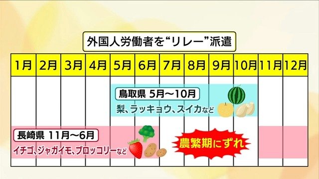 長崎と鳥取の農繁期のズレを利用