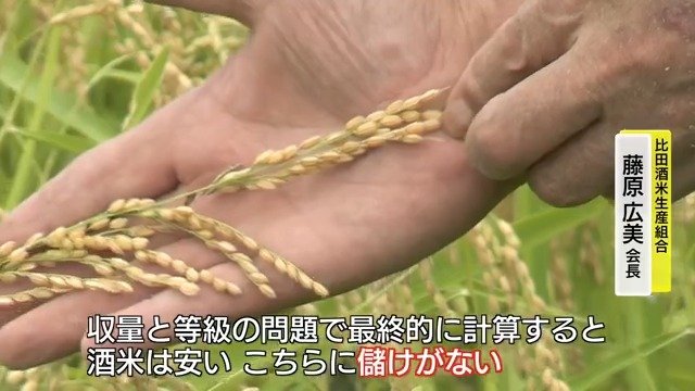 農家の生産米の判断迫られる