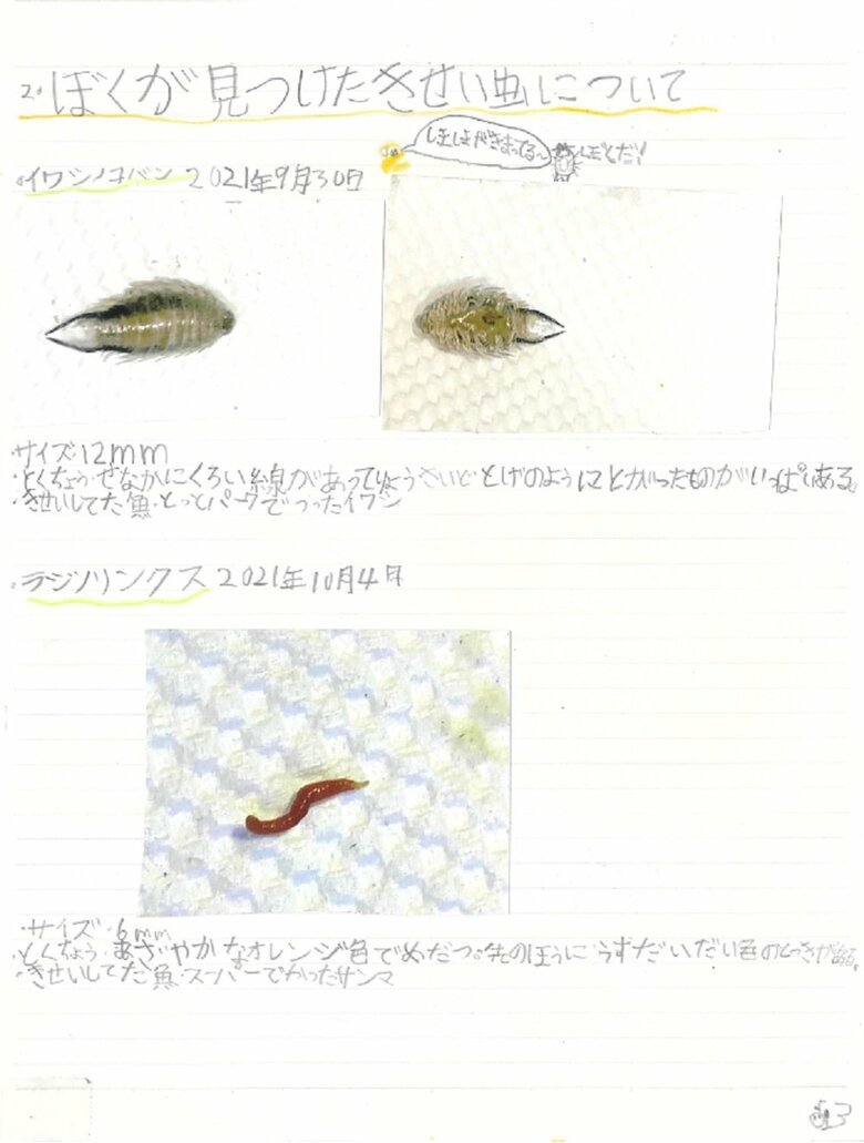 3ペ－ジ目（ぼくが見つけたきせい虫について）