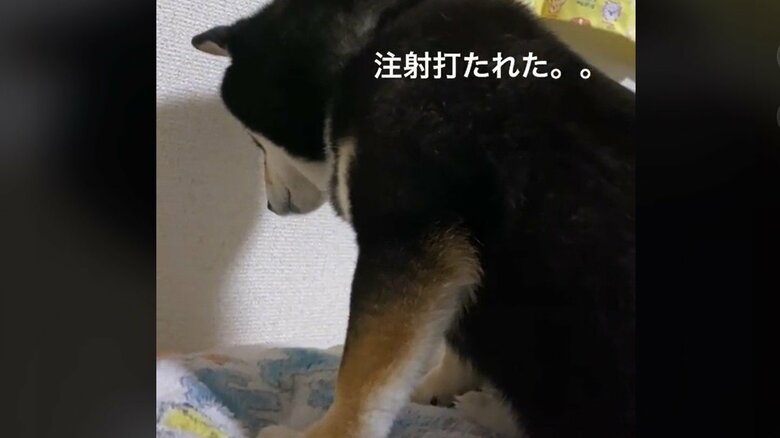 2021年にも同じ状態になっていた