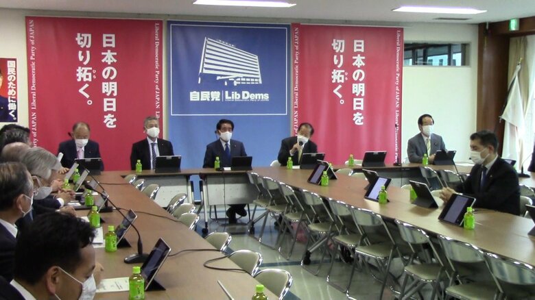 自民党の2050年カーボンニュートラル実現推進本部の会合（2021年3月）