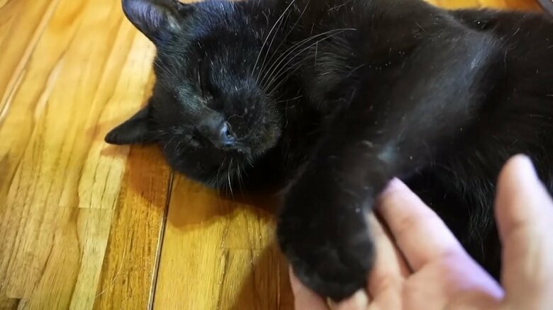 ぐっすり眠っている