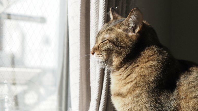 （画像：オープンハウスグループ）