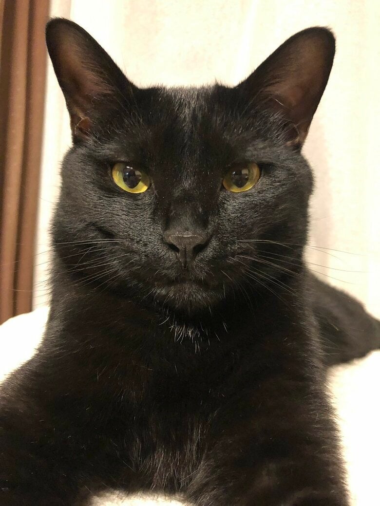 四角じゃない時のくろのすけくん