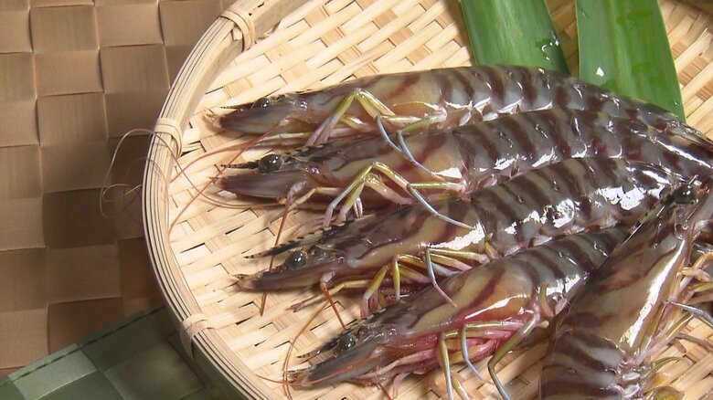 楽しみにしてくれている人のために…