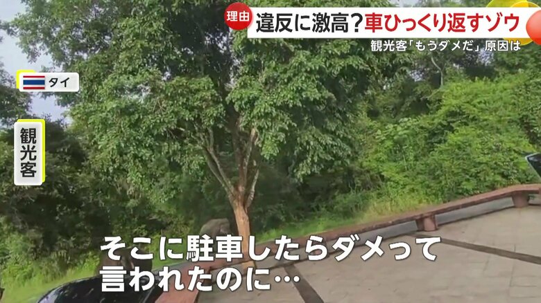 「そこに駐車したらダメって、公園当局から言われてたのに…」後悔を叫んでいた車の持ち主