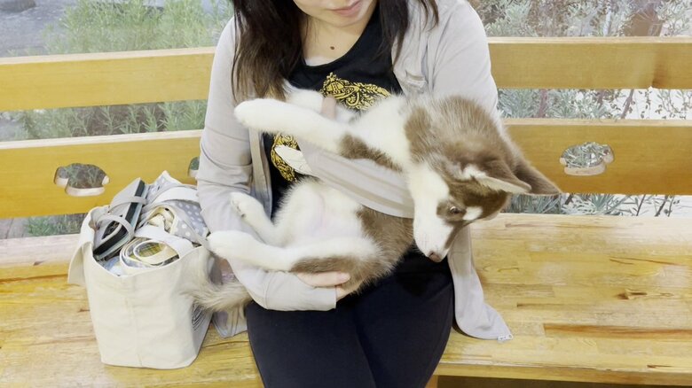 注射後のマリアンちゃん