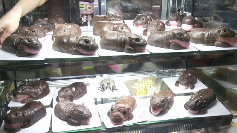 カフェ「VETMON CAFE」で販売中のムーデンケーキ