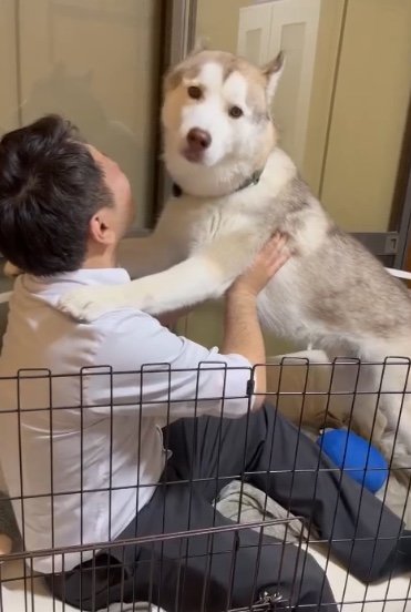 提供：キャプテン・レゴシさん