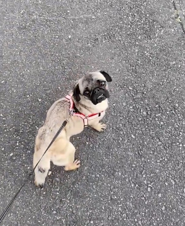 提供：ボンさん