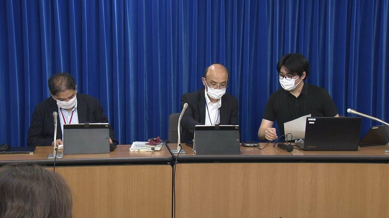厚労省は国内4例目の治療薬として抗体カクテル療法を特定承認（7月19日）