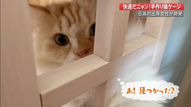 窓から顔をのぞかせるハッピーくん