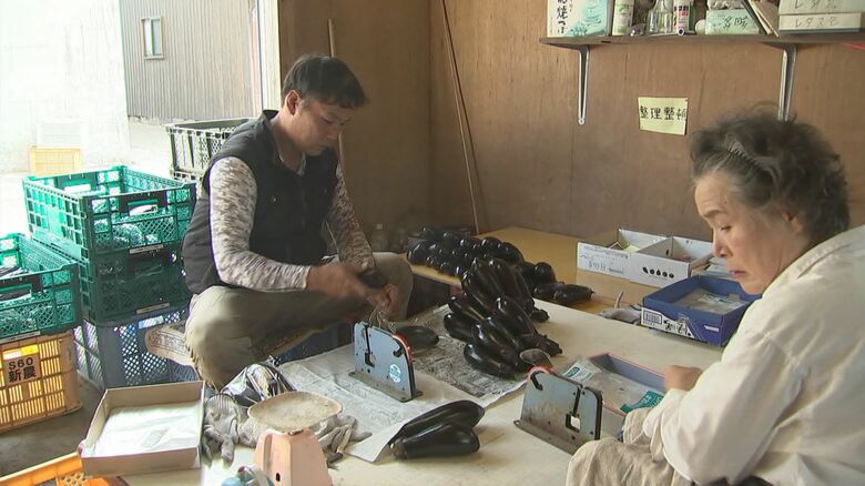 小玉農園（国東市）