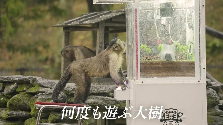 （出典：株式会社ワイドレジャー）