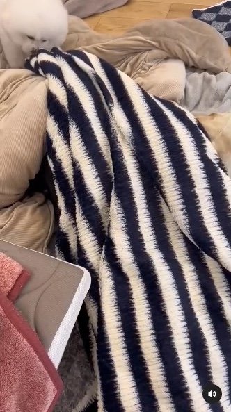 提供：エマ emmaさん