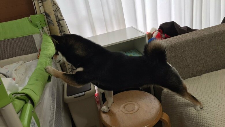 見守り写真その3。ベッドに足を伸ばすおはぎくん。そして…