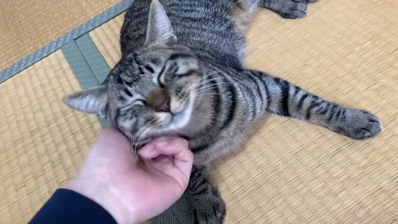 一度はリラックスしたものの…