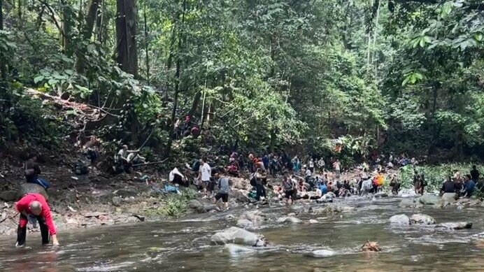 大人数でジャングルを移動することも