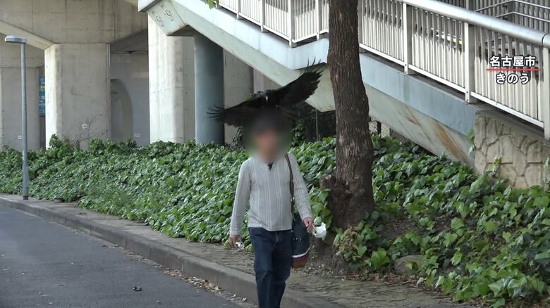 歩道橋だけではなく、歩道にいた人にも襲いかかる