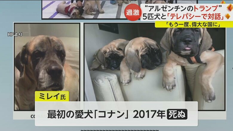 アメリカの会社に約7400万円を支払い、コナンのDNAを使ったクローンの子犬4匹を手に入れた