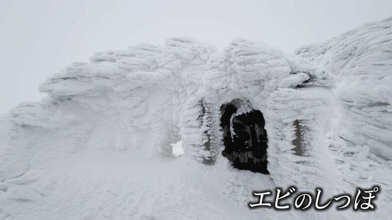 空中の水分が風の方向に凍っている