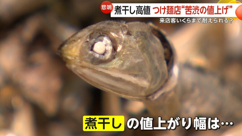 2024年12月に過去5番目の高値となった煮干し