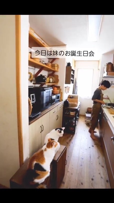 提供：ゆうこさん