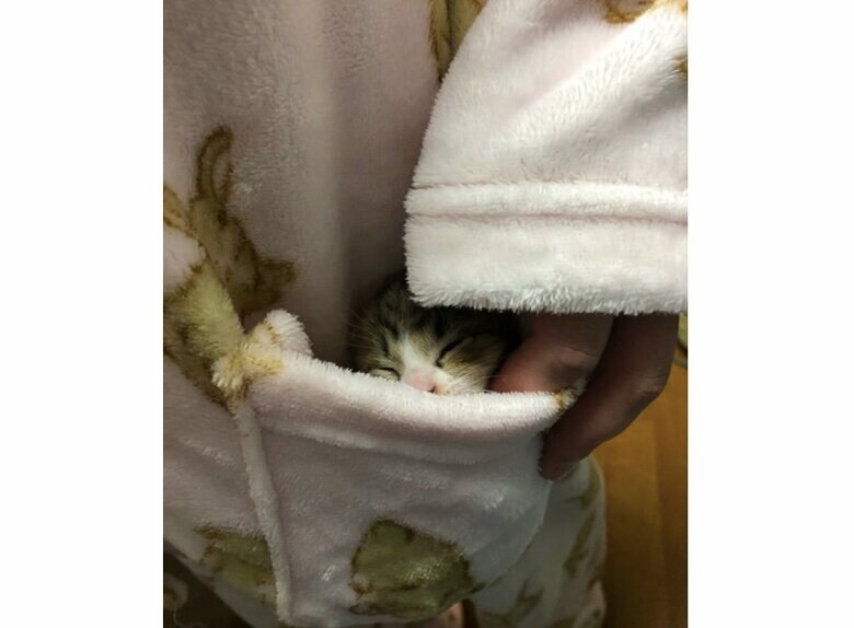 提供：もずく＆こんぶさん